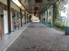 Zena parkinn